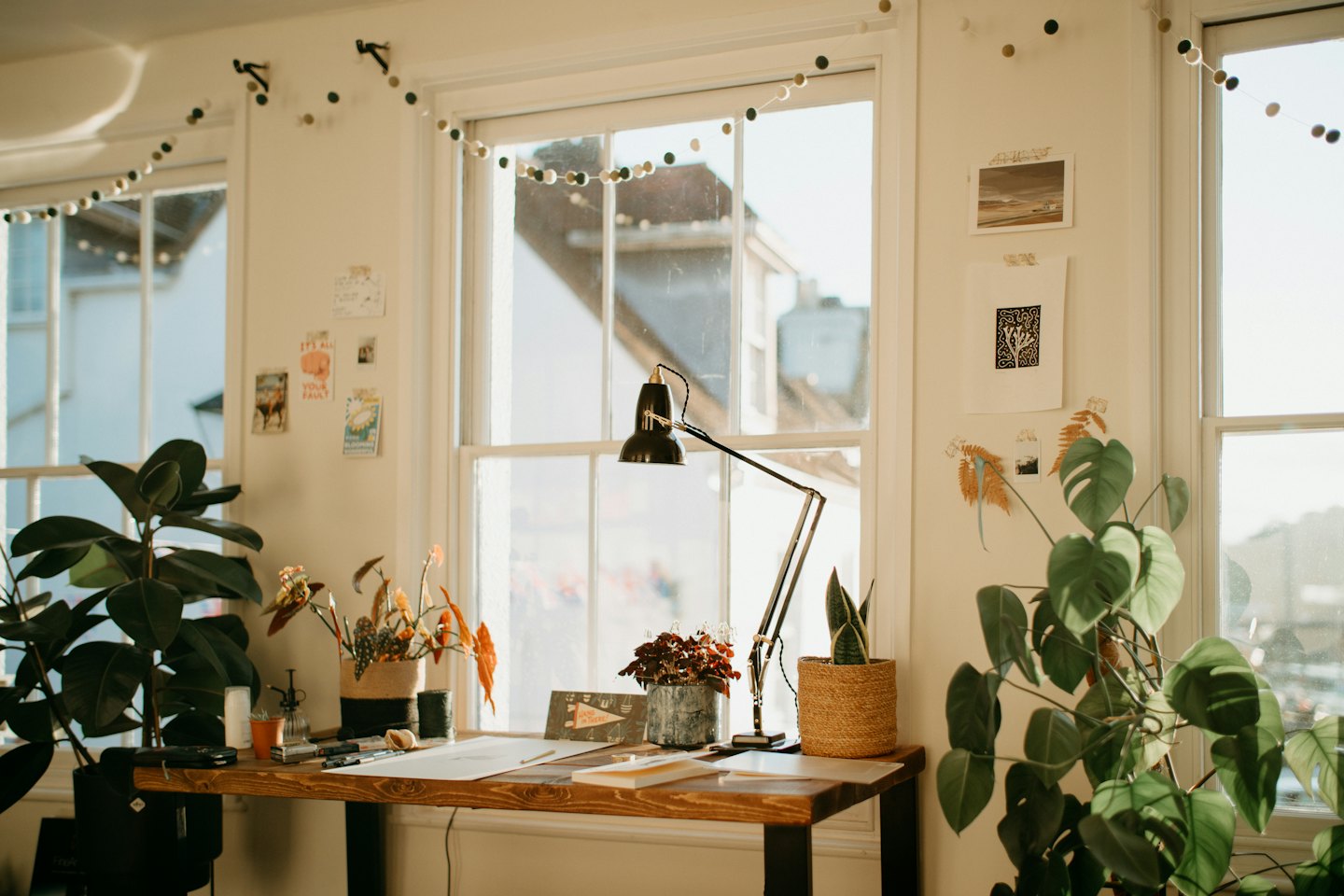 Wooden desk with plants and lamp in bright natural light.